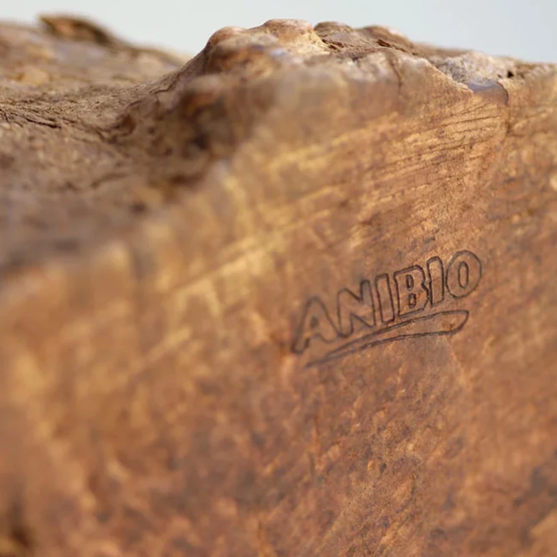 ANIBIO - RADICE DI ERICA BIO - immagine 2