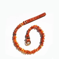 Bio Pet Store COLLARE ANTIPARASSITARIO ALL'AMBRA BALTICA NATURALE