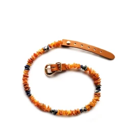 Bio Pet Store COLLARE ANTIPARASSITARIO IN AMBRA BALTICA NATURALE E LAPISLAZZULI