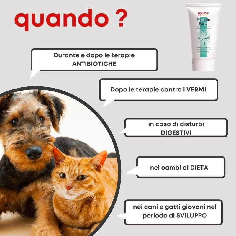 DOLFOS - PROBIOTIC PASTA - immagine 2
