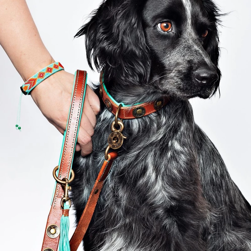 DWAM - COLLARE URBAN - immagine 3