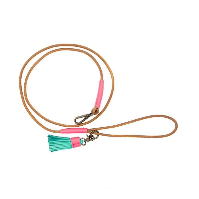 DWAM - GUINZAGLIO DUSHI