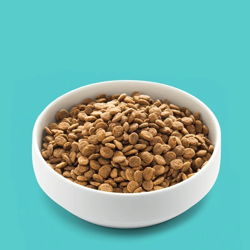 EDGARD & COOPER - SENIOR - CARNE FRESCA DI POLLO ALLEVATO A TERRA E SALMONE NORVEGESE - immagine 2