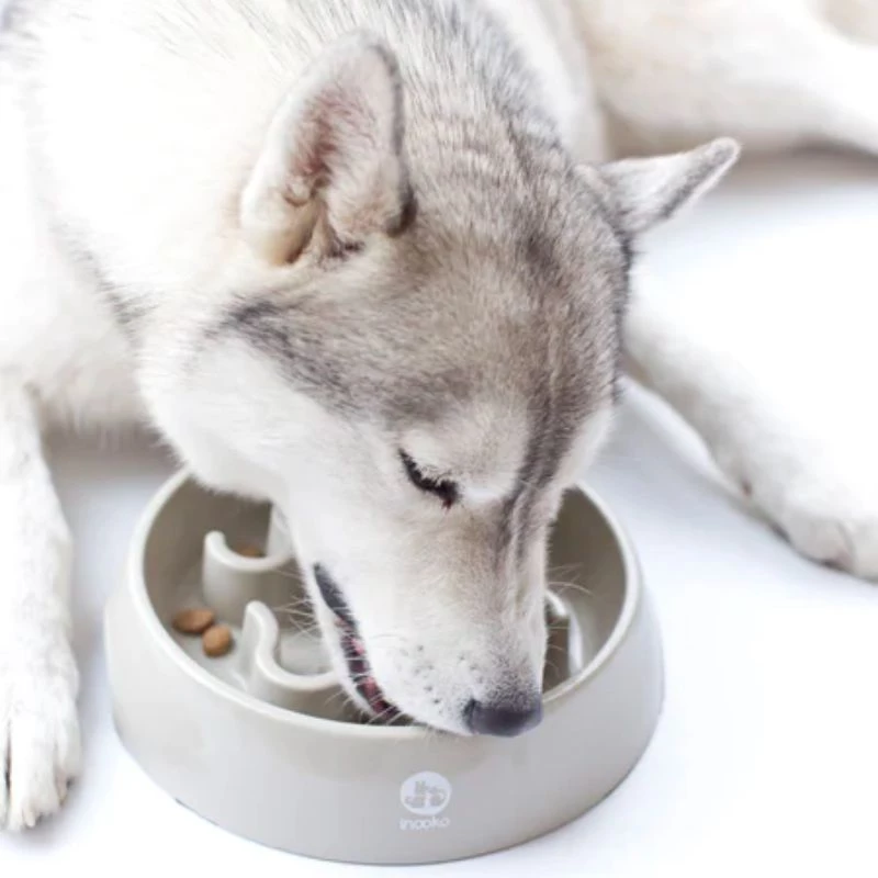 INOOKO - CIOTOLA ANTI INGOZZAMENTO SABBIA - immagine 2