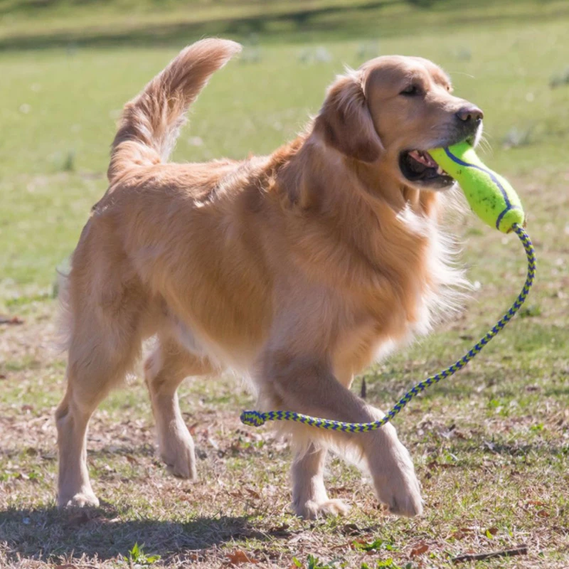 KONG - AIR DOG - CON CORDA - immagine 2