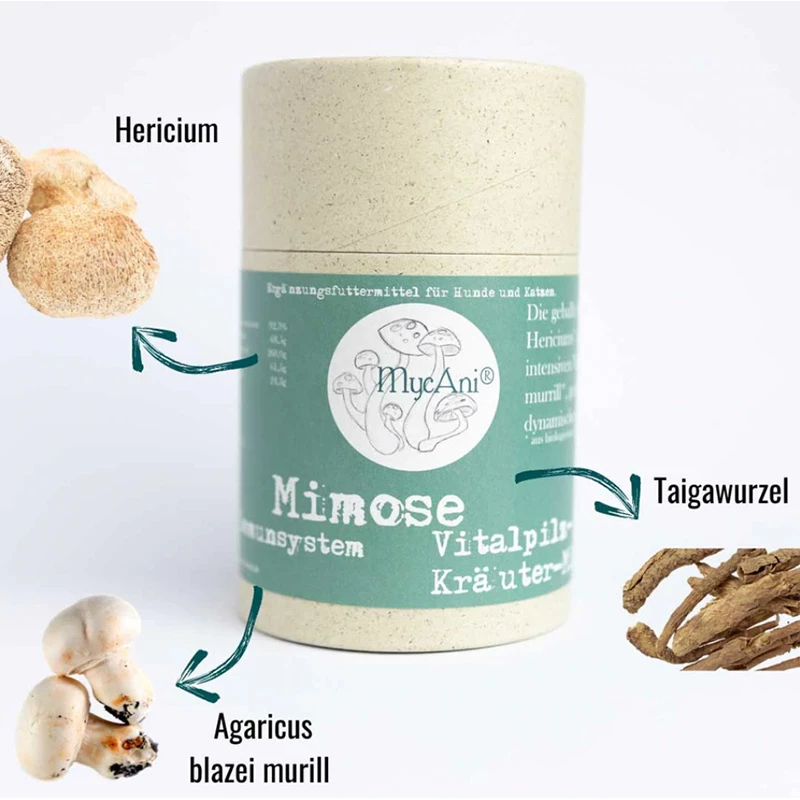 MYCANI - MIMOSE - SUPPORTO SISTEMA IMMUNITARIO - MISCELA DI ERBE E FUNGHI MEDICALI - immagine 2