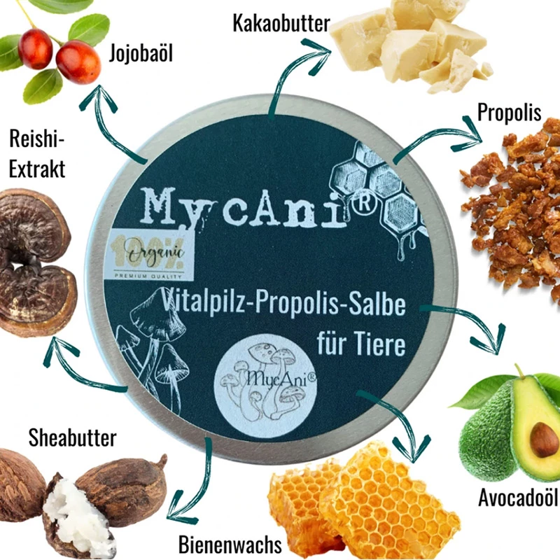 MYCANI - UNGUENTO A BASE DI FUNGO REISHI E PROPOLI - immagine 2