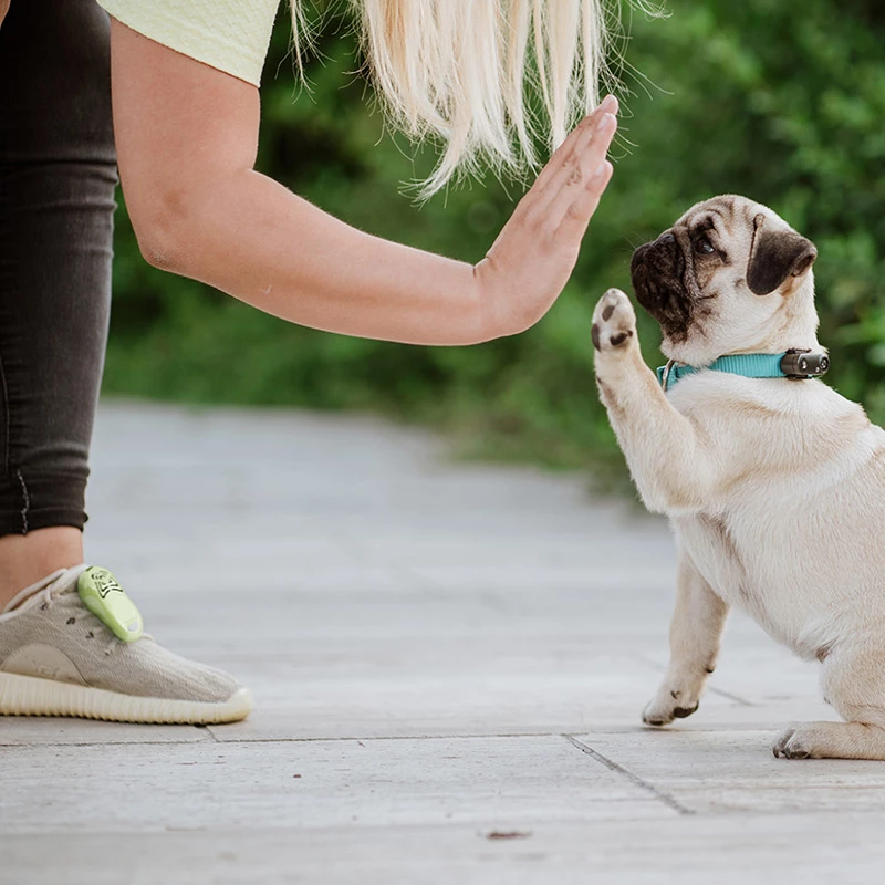 TICKLESS - MINI DOG - MEDAGLIETTA RICARICABILE CON ULTRASUONI - BIANCO - immagine 2