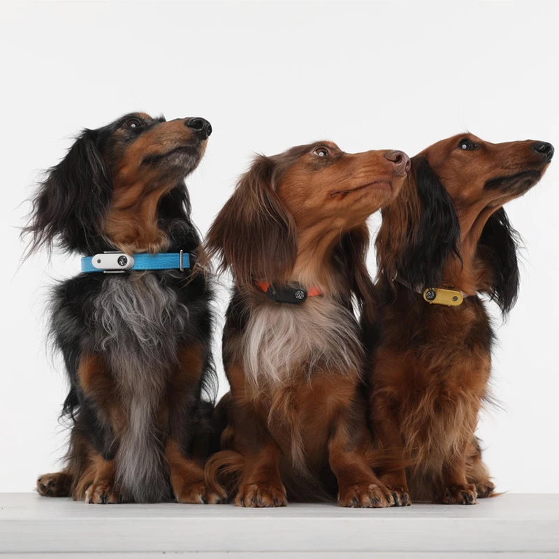 TICKLESS - MINI DOG - MEDAGLIETTA RICARICABILE CON ULTRASUONI - BIANCO - immagine 3