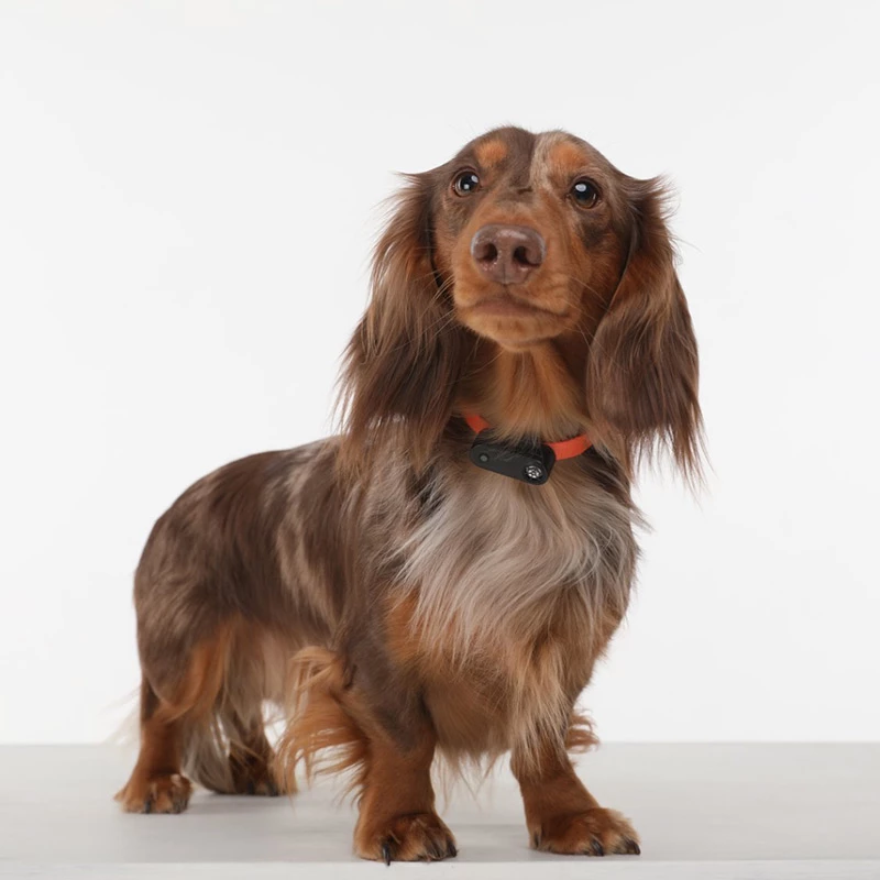 TICKLESS - MINI DOG - MEDAGLIETTA RICARICABILE CON ULTRASUONI - BIANCO - immagine 4