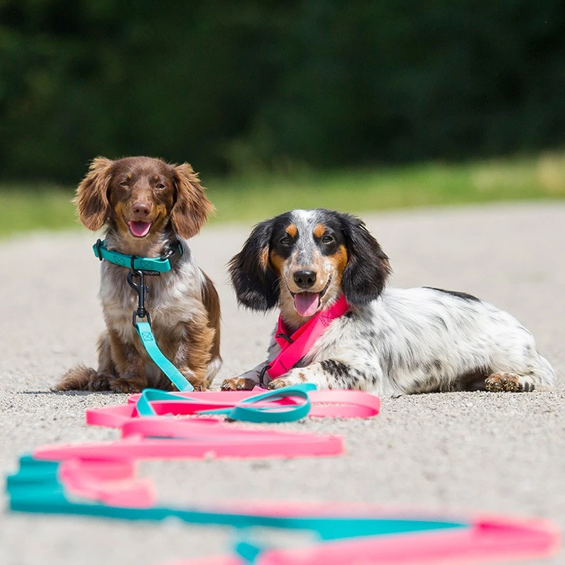 Treusinn. TREUSINN - LUNGHINA IN BIOTHANE 10M - immagine 9