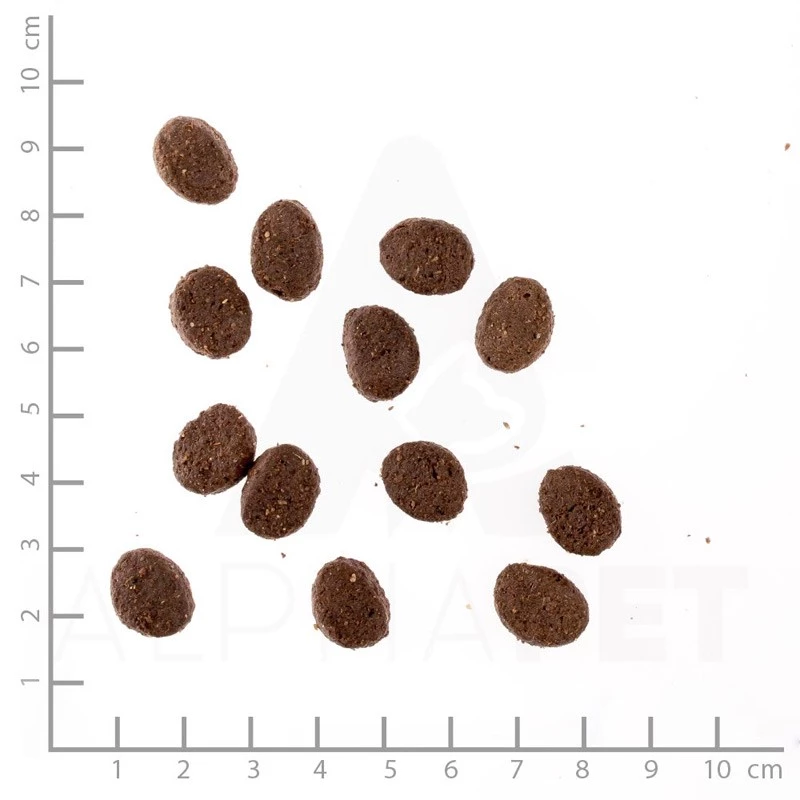 WILDES LAND - CLASSIC ADULT - CONIGLIO CON PATATE ED ERBE SELVATICHE - immagine 4