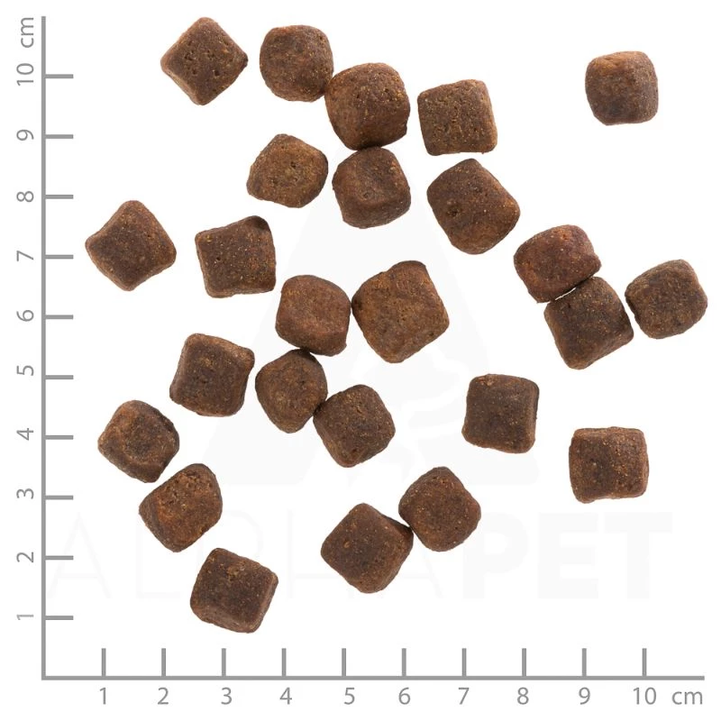 WOLFSBLUT - DARK FOREST - CERVO E PATATE DOLCI - immagine 2