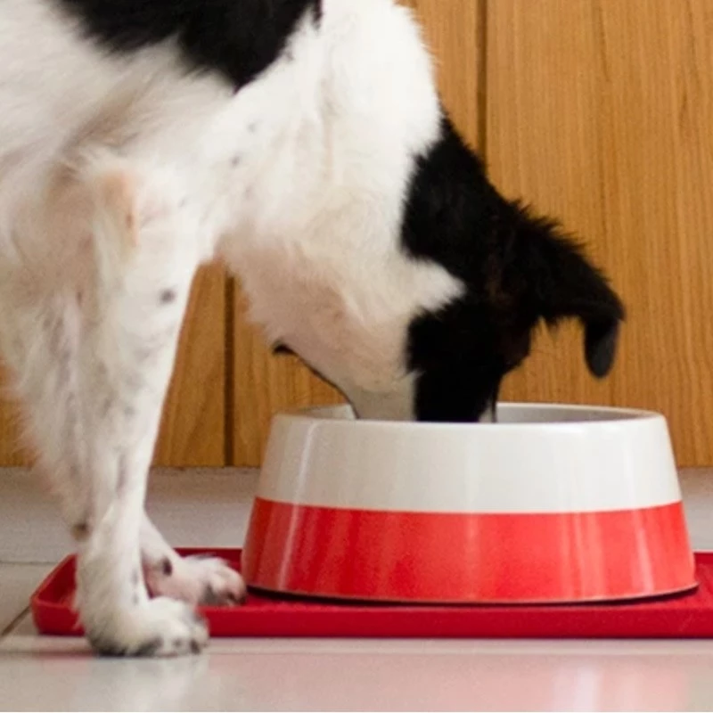 Zee.Dog ZEE DOG - CIOTOLA BICOLOR - immagine 5