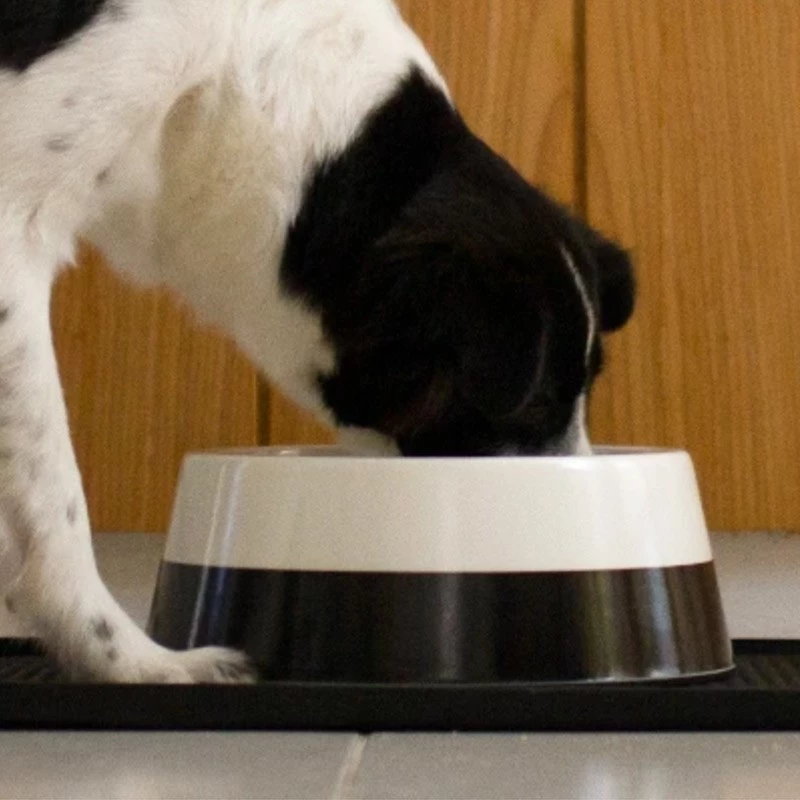 Zee.Dog ZEE DOG - CIOTOLA BICOLOR - immagine 6