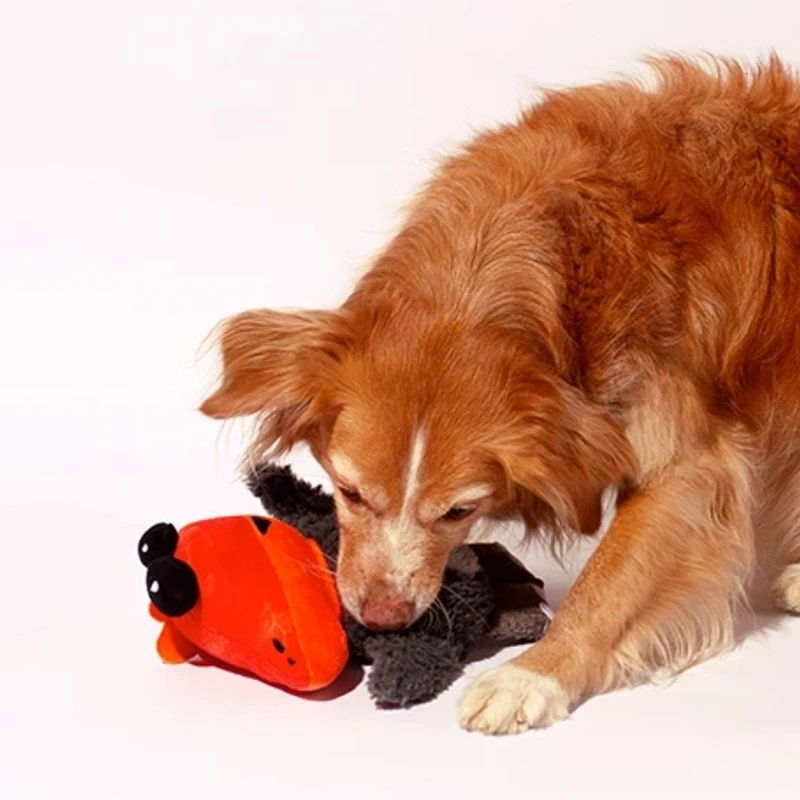 Zee.Dog ZEE DOG - COLLEZIONE ANIMALI MUTANTI PORKDUFANT - immagine 2