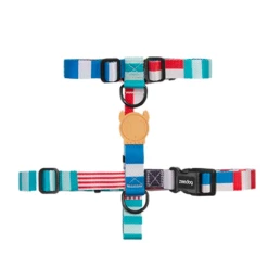 Zee.Dog ZEE DOG - PETTORINA YACHT